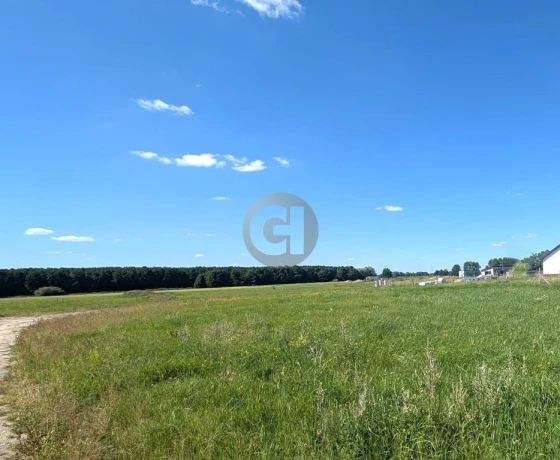 Bolemin - 65000 zł (nr 468/2287/OGS)