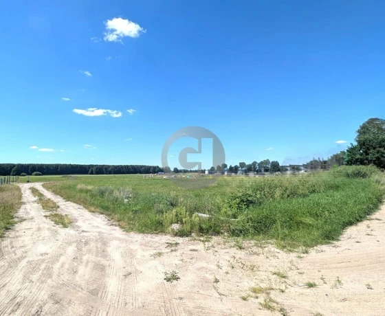 Bolemin - 65000 zł (nr 468/2287/OGS)