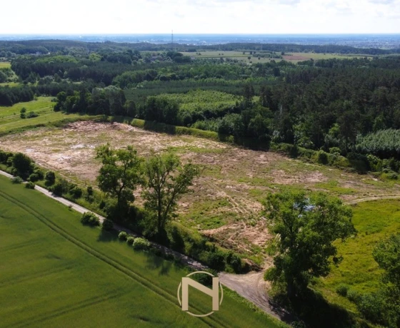 Baczyna-Kolonia - 749000 zł (nr 416/3070/OGS)