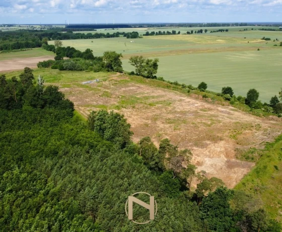 Baczyna-Kolonia - 749000 zł (nr 416/3070/OGS)