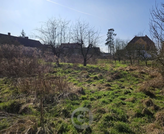 Górki Noteckie - 85000 zł (nr 474/2287/OGS)