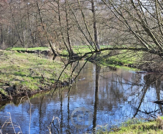 Górki Noteckie - 85000 zł (nr 474/2287/OGS)