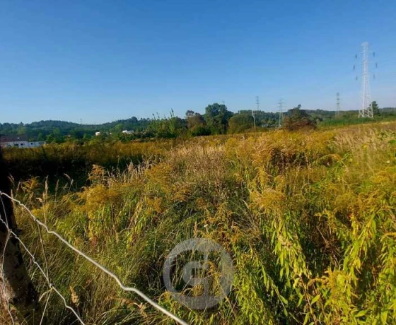 Łupowo - 180000 zł (nr 490/2287/OGS)