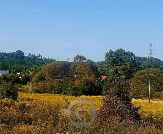 Łupowo - 180000 zł (nr 490/2287/OGS)