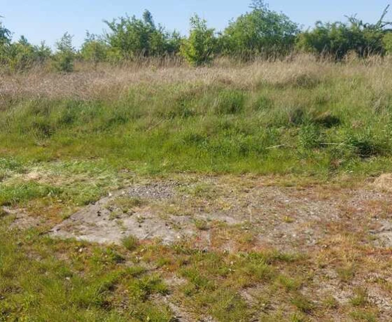 Kłodawa - 950000 zł (nr 494/2287/OGS)