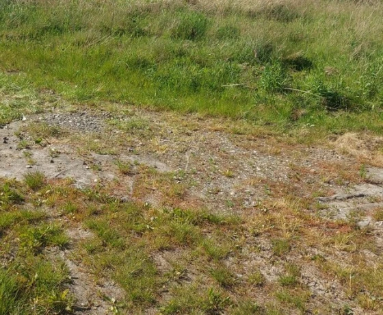 Kłodawa - 950000 zł (nr 494/2287/OGS)