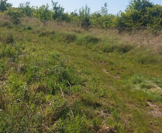 Kłodawa - 950000 zł (nr 494/2287/OGS)