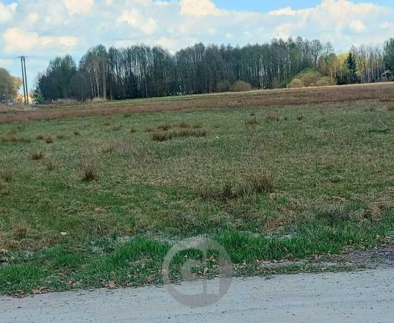 Działka na sprzedaż, Rogi - 946 400 zł