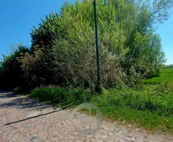 Bogdaniec - 103240 zł (nr 499/2287/OGS)