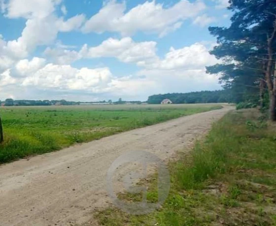 Działka na sprzedaż, Dziersławice - 120 000 zł