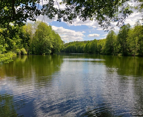 Mieszkanie na sprzedaż, Goszczanowo - 174 000 zł