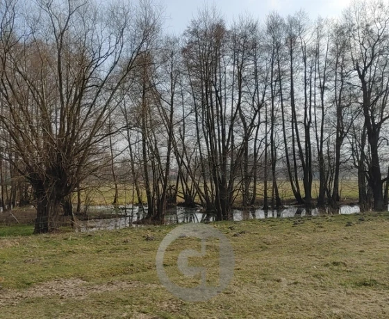 Bogdaniec - 850000 zł (nr 957/2287/ODS)