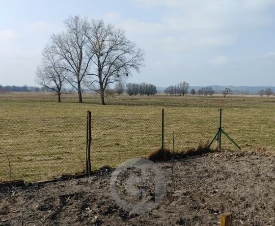 Bogdaniec - 850000 zł (nr 957/2287/ODS)