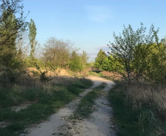 Gorzów Wielkopolski - 8891600 zł (nr 608/3504/OGS)