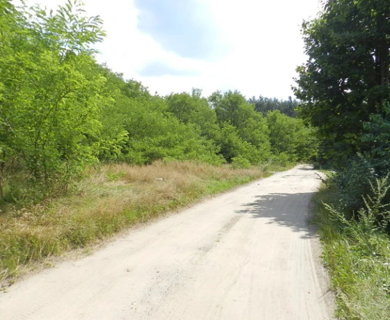 Działka na sprzedaż, Rzepin - 130 000 zł