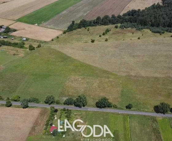 Działka na sprzedaż, Świniary - 130 000 zł