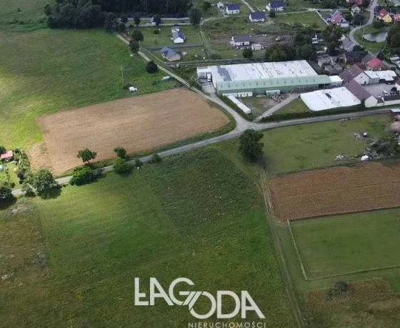 Działka na sprzedaż, Świniary - 110 000 zł