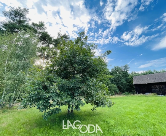 Kłodawa - 395000 zł (nr 782/3504/OGS)