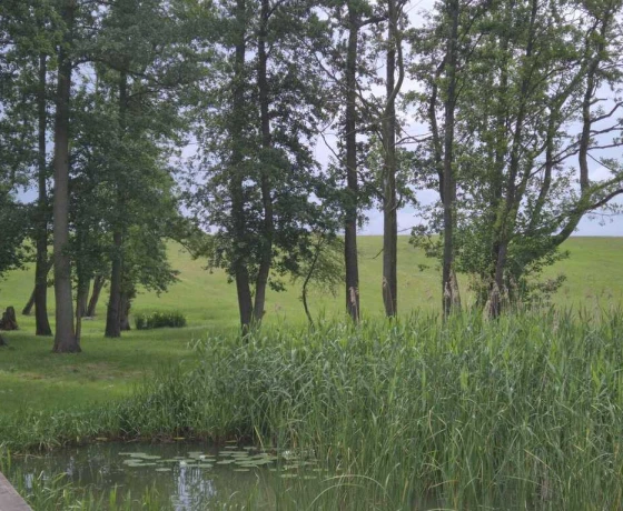 Stary Klukom - 350000 zł (nr 783/3504/OGS)