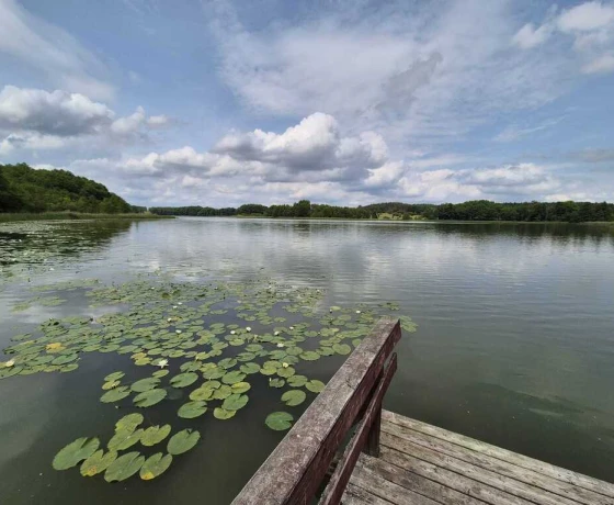 Stary Klukom - 350000 zł (nr 783/3504/OGS)