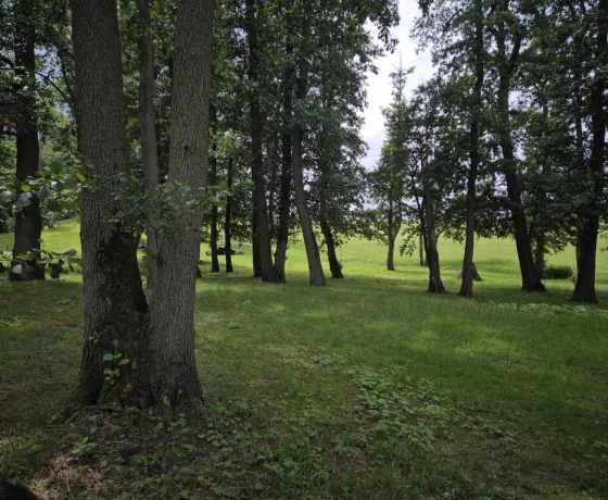 Stary Klukom - 350000 zł (nr 783/3504/OGS)