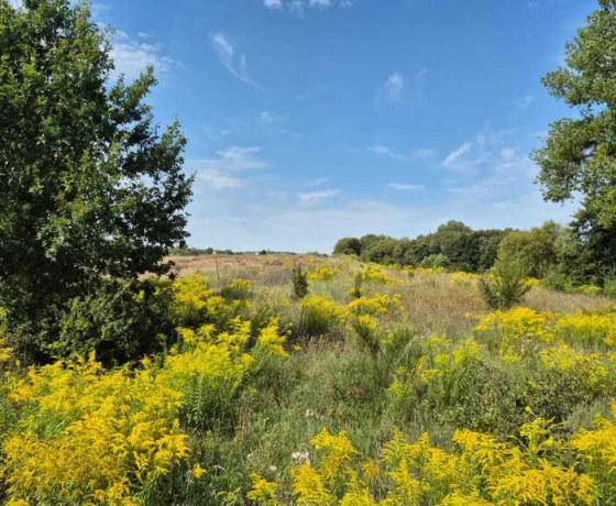 Działka na sprzedaż, Gorzów Wielkopolski, Os. Piaski - 429 030 zł