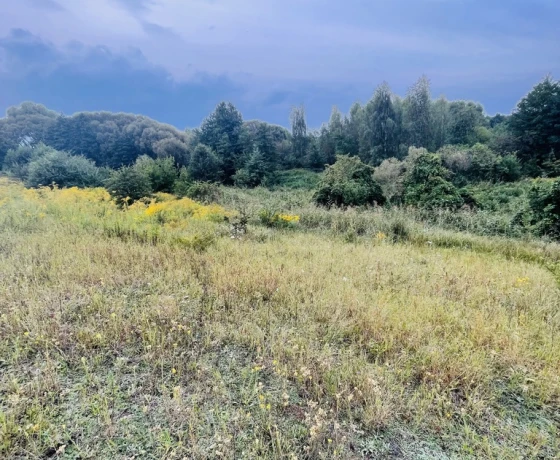 Gorzów Wielkopolski, Os. Piaski - 429030 zł (nr 784/3504/OGS)