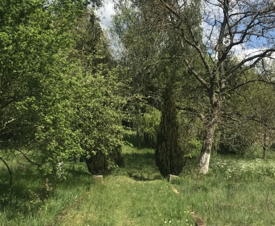Gubin - 1450000 zł (nr 803/3504/ODS)
