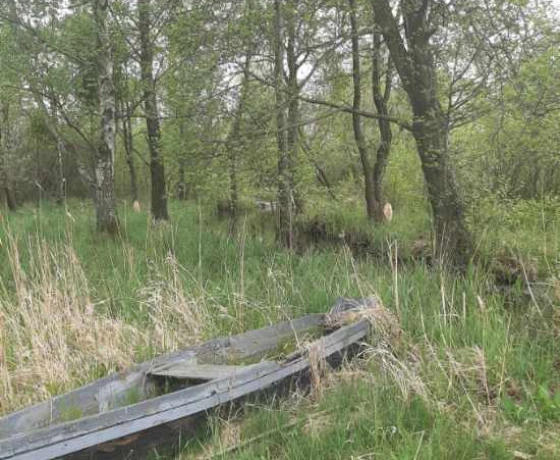 Działka na sprzedaż, Ściechów - 120 000 zł