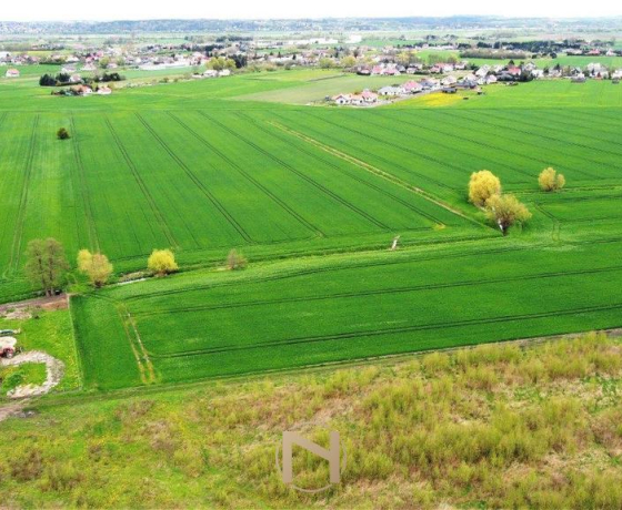 Gorzów Wielkopolski, Karnin - 156736 zł (nr 423/3070/OGS)