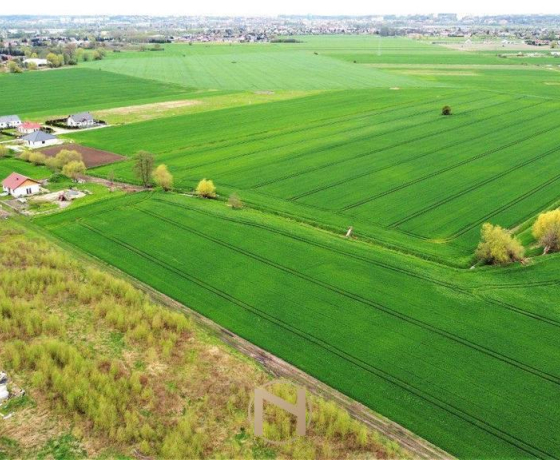 Gorzów Wielkopolski, Karnin - 156736 zł (nr 423/3070/OGS)
