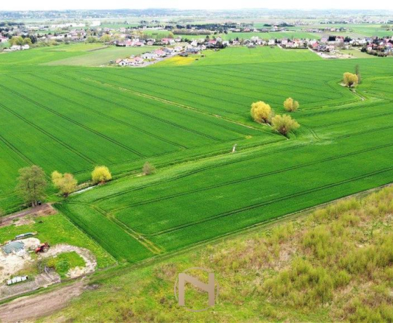 Gorzów Wielkopolski, Karnin - 156736 zł (nr 423/3070/OGS)