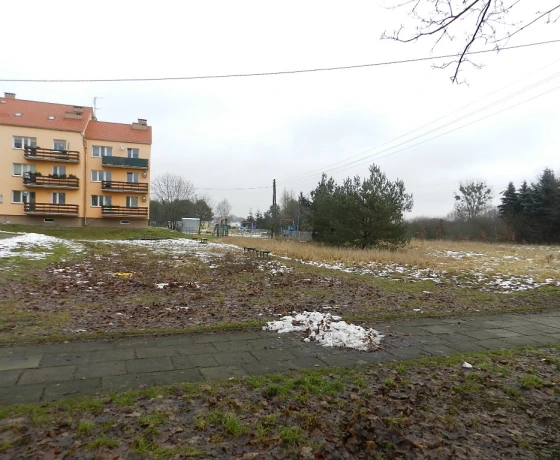 Lubiszyn, Myśliborska - 59000 zł (nr 721/3504/OGS)