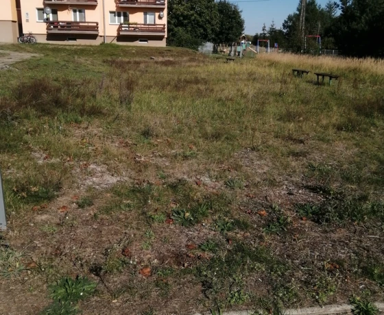 Lubiszyn, Myśliborska - 59000 zł (nr 721/3504/OGS)