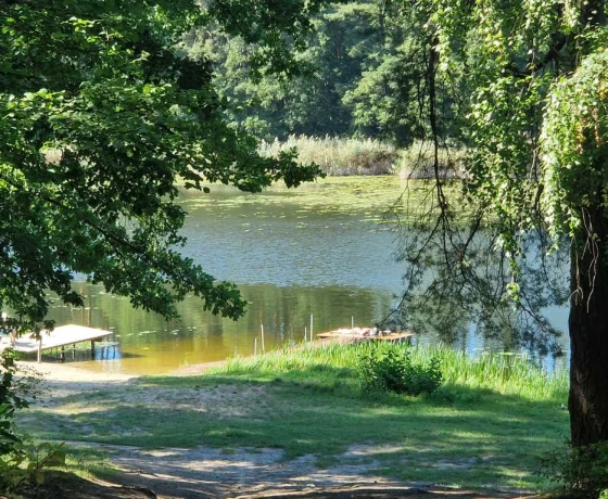 Kęszyca Leśna - 950000 zł (nr 97/3504/OOS)