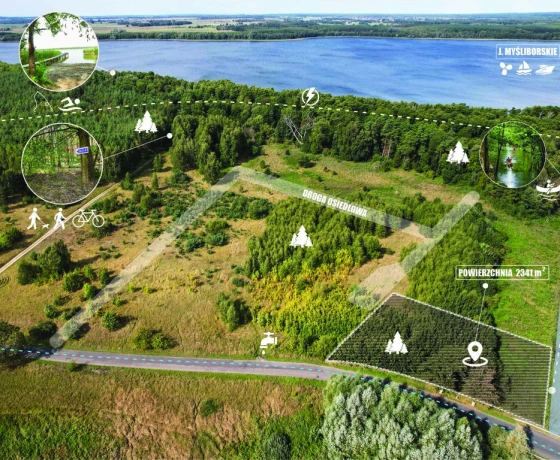 Działka na sprzedaż, Dąbrowa - 153 000 zł