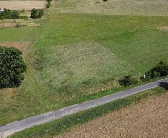 Działka na sprzedaż, Świniary - 110 000 zł