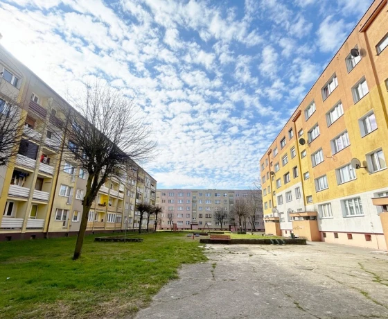 Mieszkanie na sprzedaż, Dębno - 260 000 zł