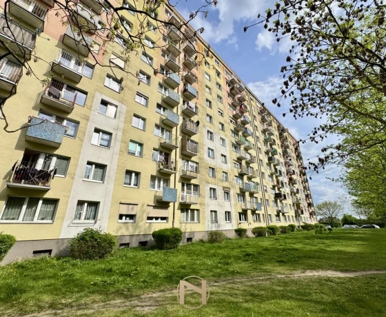 Gorzów Wielkopolski, Os. Staszica - 299000 zł (nr 3020/3070/OMS)