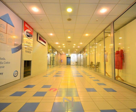 Gorzów Wielkopolski, Centrum - 149000 zł (nr 381/3070/OLS)