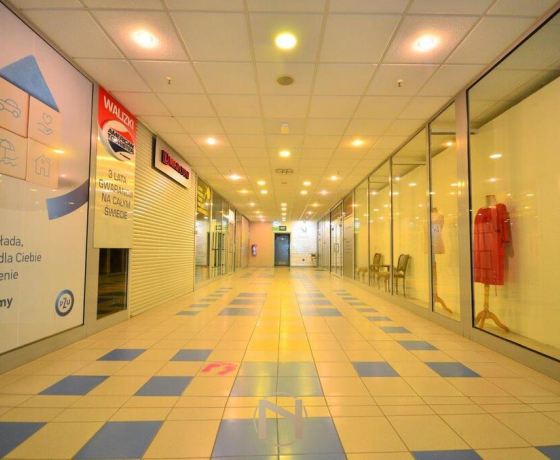 Gorzów Wielkopolski, Centrum - 110000 zł (nr 388/3070/OLS)