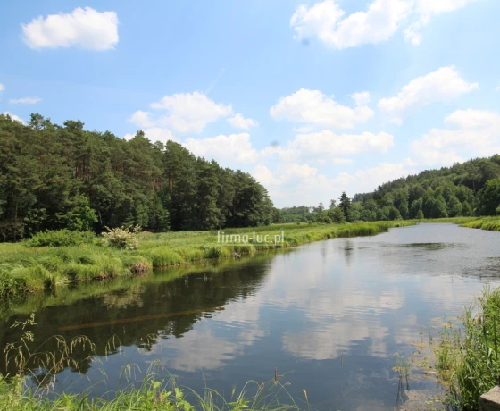Działka na sprzedaż, Przyłęg - 1 200 000 zł
