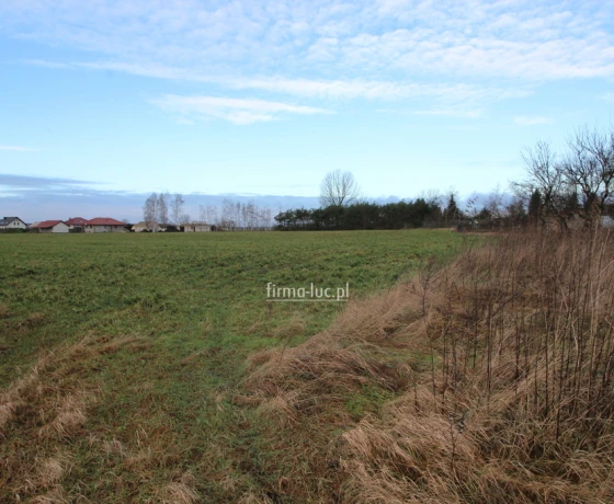 Krzeszyce - 123000 zł (nr 953/2562/OGS)