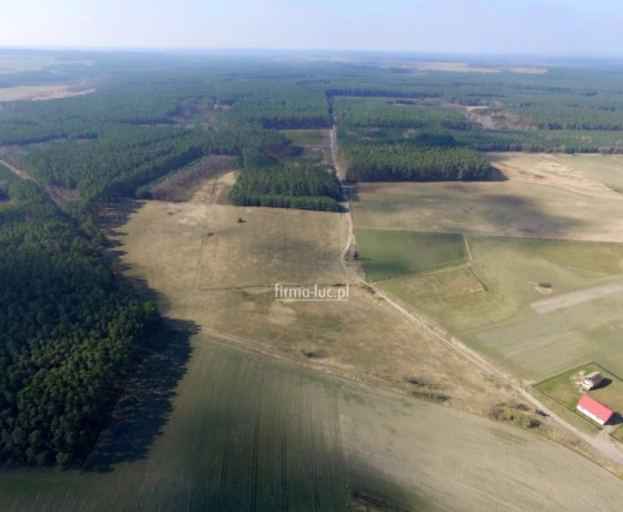 Trzebów - 1094000 zł (nr 960/2562/OGS)