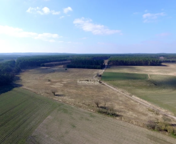 Trzebów - 1094000 zł (nr 960/2562/OGS)