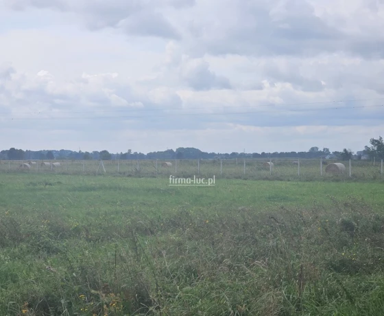 Prądocin - 55200 zł (nr 1208/2562/OGS)