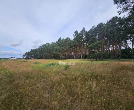 Murzynowo, Warcińska - 44000 zł (nr 1271/2562/OGS)