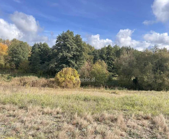 Gorzów Wielkopolski, Chwalęcice Dolne, Świerkowa - 372960 zł (nr 1272/2562/OGS)