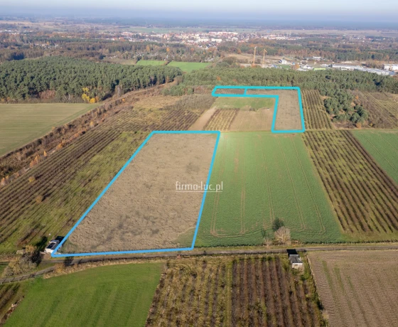 Działka na sprzedaż, Skwierzyna - 1 626 000 zł