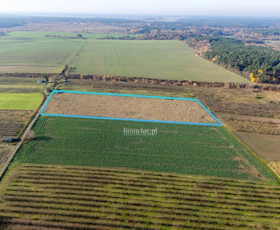 Skwierzyna, Międzyrzecka - 1626000 zł (nr 1279/2562/OGS)